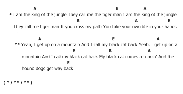 คอร์ดเพลง เนื้อเพลง Tiger Man, คอร์ดเพลง Tiger Man ของ Elvis presley, คอร์ดเพลงของ Elvis presley, เนื้อร้อง Tiger Man Elvis presley, Tiger Man คอร์ดง่าย ๆ, คอร์ด Tiger Man ต้นฉบับ